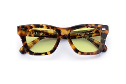 FORBES CARAMEL TORTOISE Lenses Sunbeam