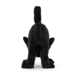 Spookipaws Cat £30