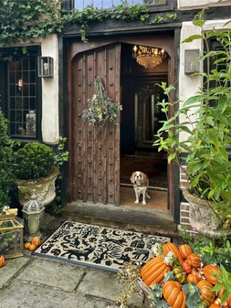 Nocturnal Creatures Doormat