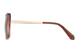 Superdry 5035 Crystal Brown Fade/Brown Sunglasses