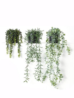 The Very Collection Set of 3 Trailing Faux Plants in Black Ceramic Pots €37.99 at Very.ie