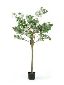 Very Home 150cm Faux Eucalyptus Tree £80