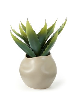 Very Home 30cm Aloe Absract Beige Ceramic Pot £22