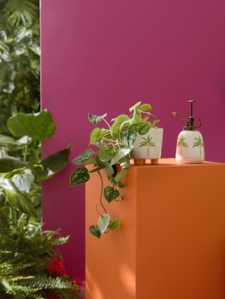 PRIMARK SPRAY AND POT SET, £7, €8, RON40, PLN34, CZK210