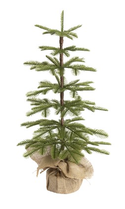 Habitat Faux Mini Pine Tree, £10, 4744537